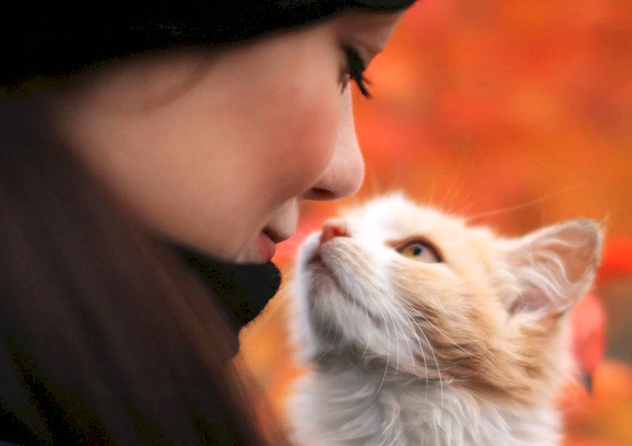 Девушка целует кошку. Красивая девушка