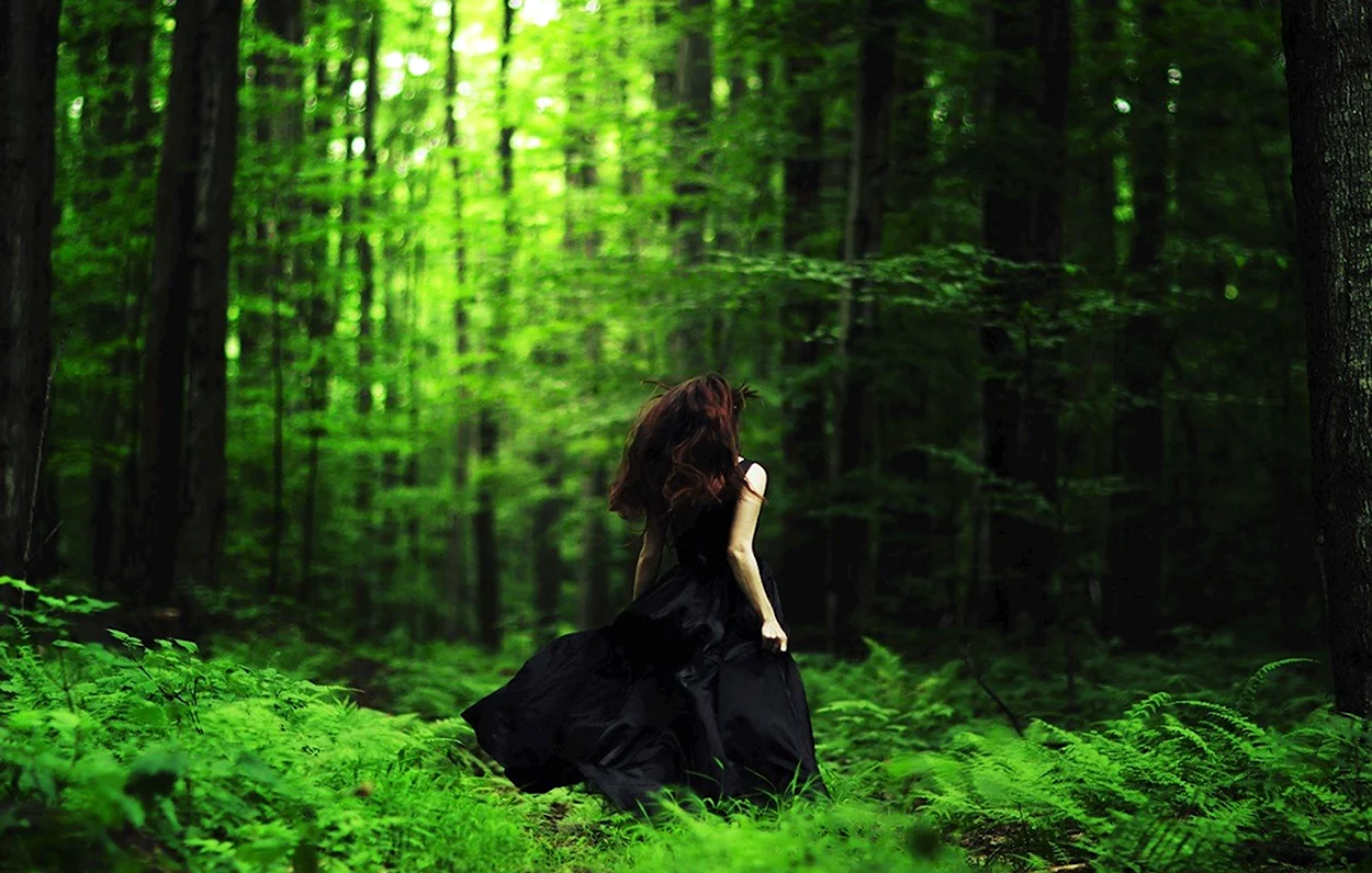 Девушка в лесу. Красивая девушка