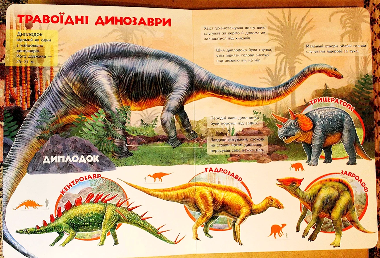 Динозавры названия. Картинка