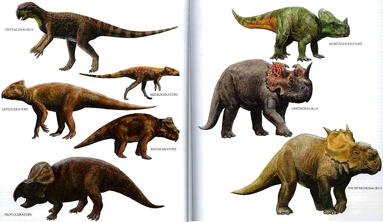 Динозавры названия. Картинка