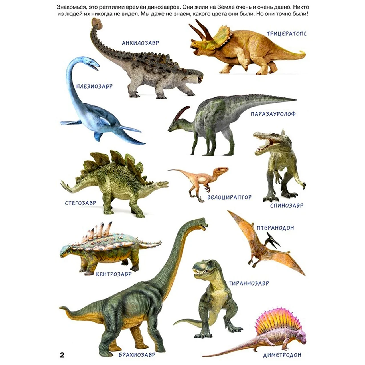 Динозавры названия с картинками для детей. Картинка