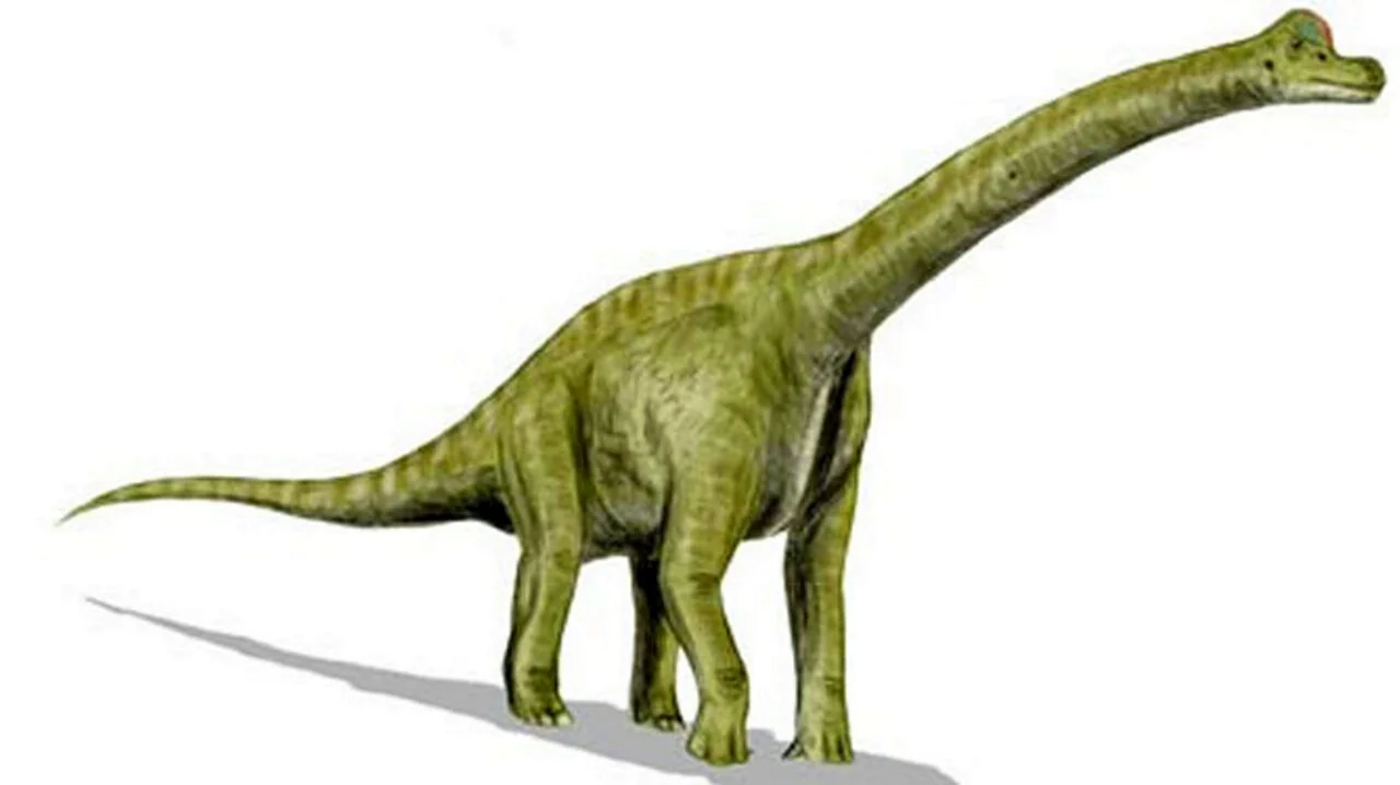 Диплодок Брахиозавр Апатозавр. Картинка
