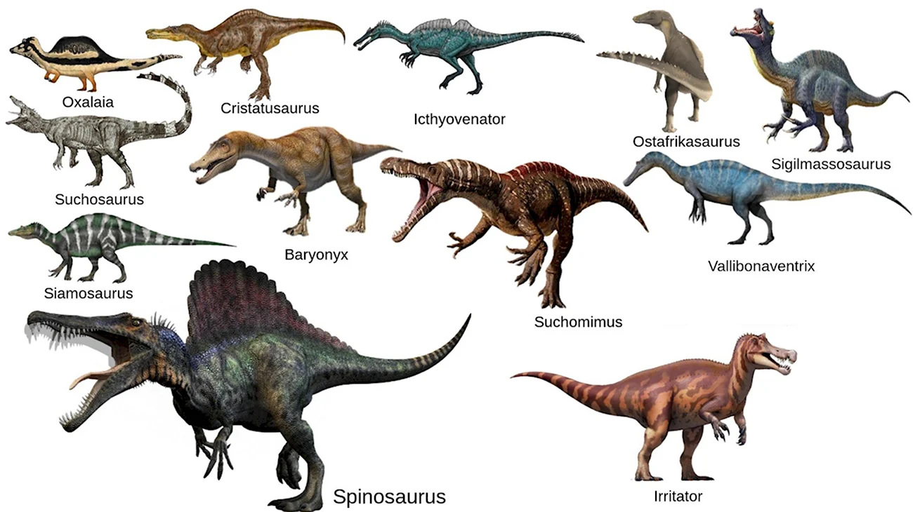 Диплодок Брахиозавр Спинозавр. Картинка