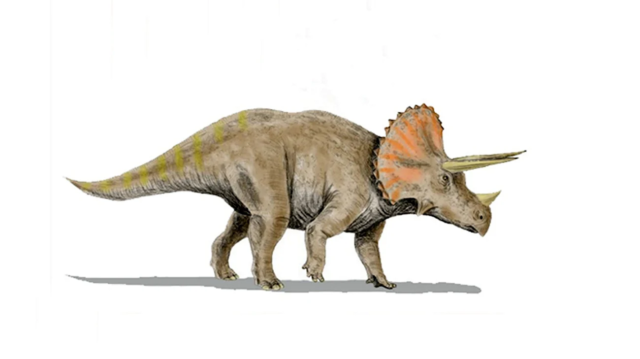 Диплодок Брахиозавр Спинозавр. Картинка