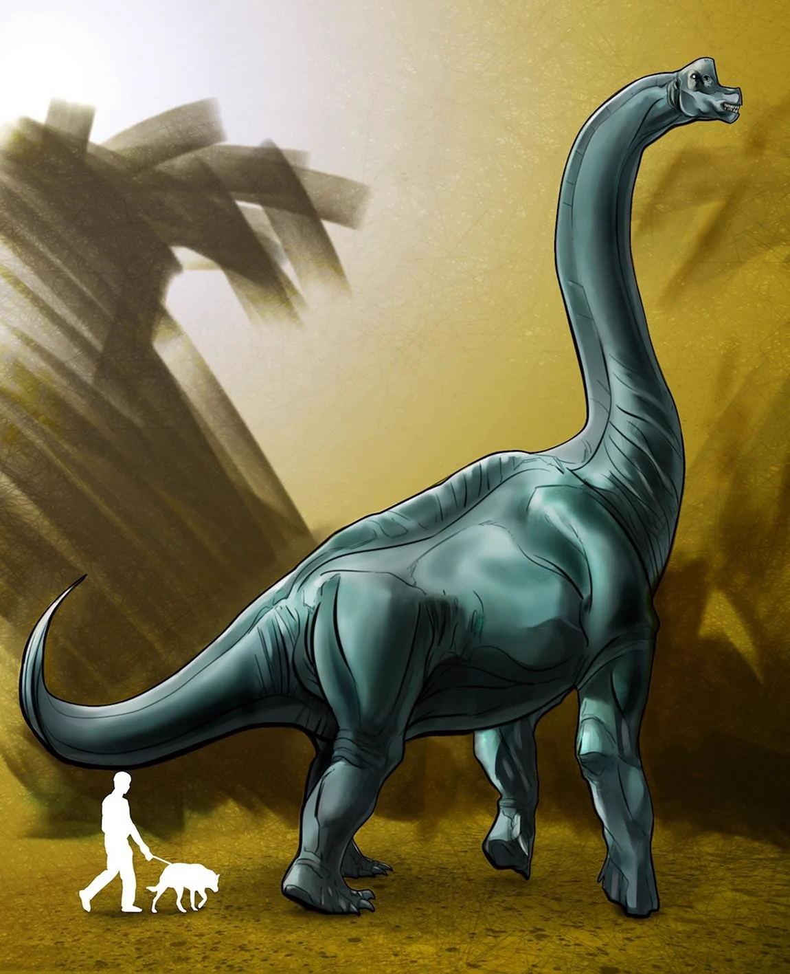 Диплодок Брахиозавр Тираннозавр. Картинка