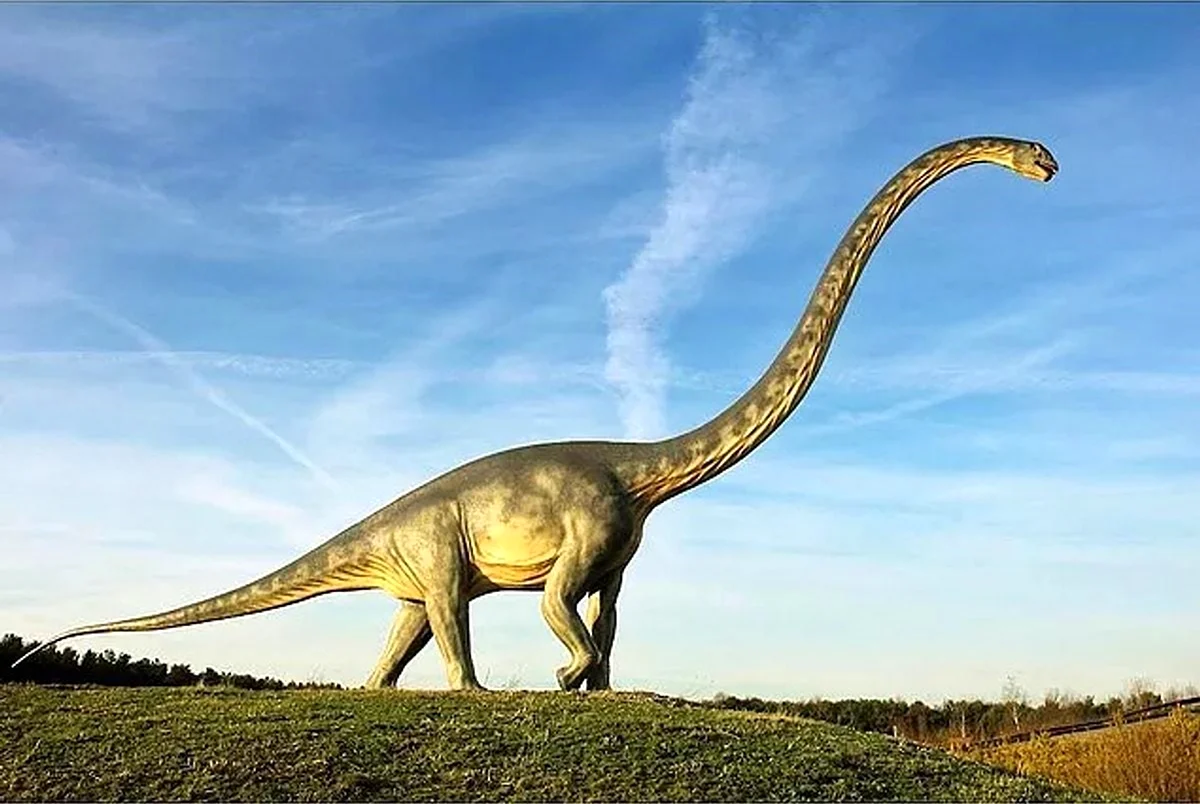 Диплодок динозавр. Картинка
