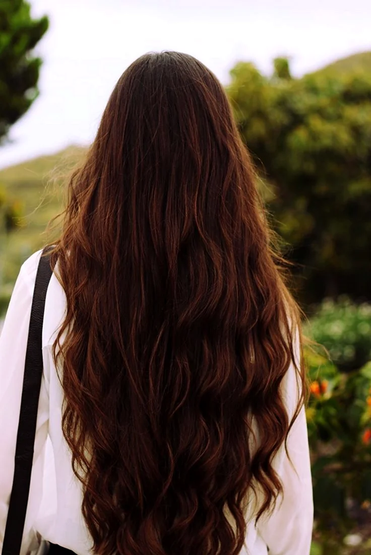 Длинные шатеновые волосы. Красивая девушка