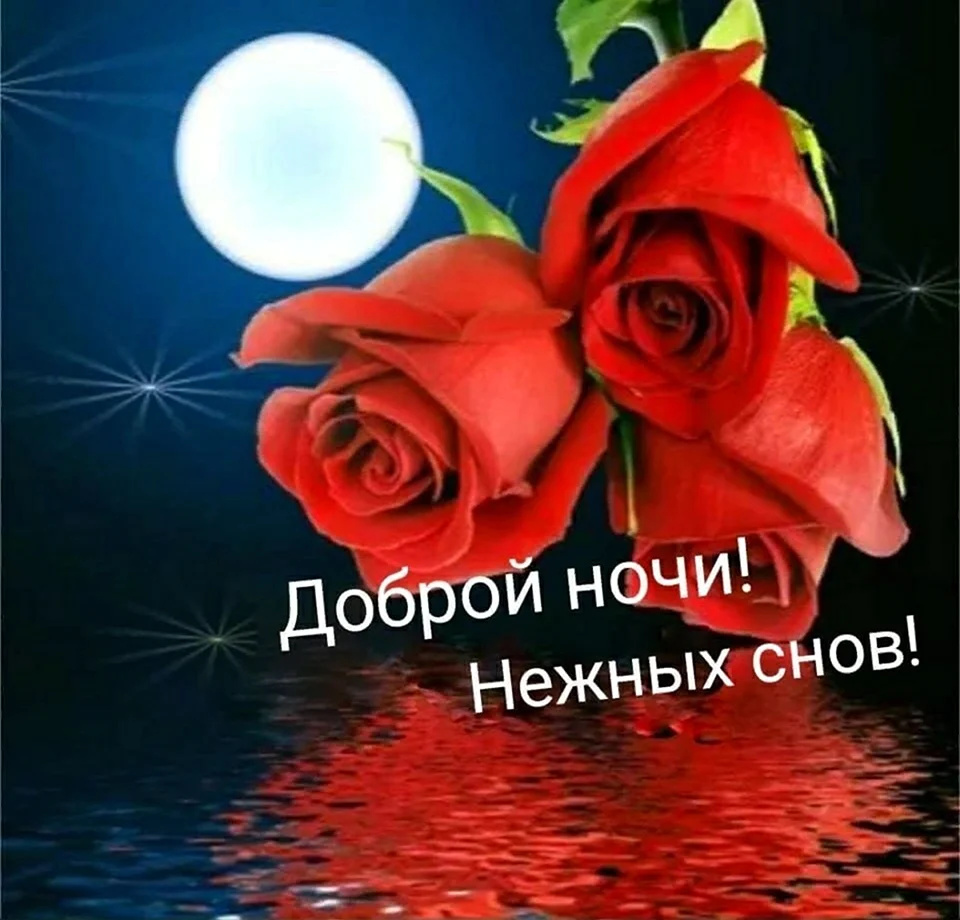Доброй ночи с розами. Красивая картинка
