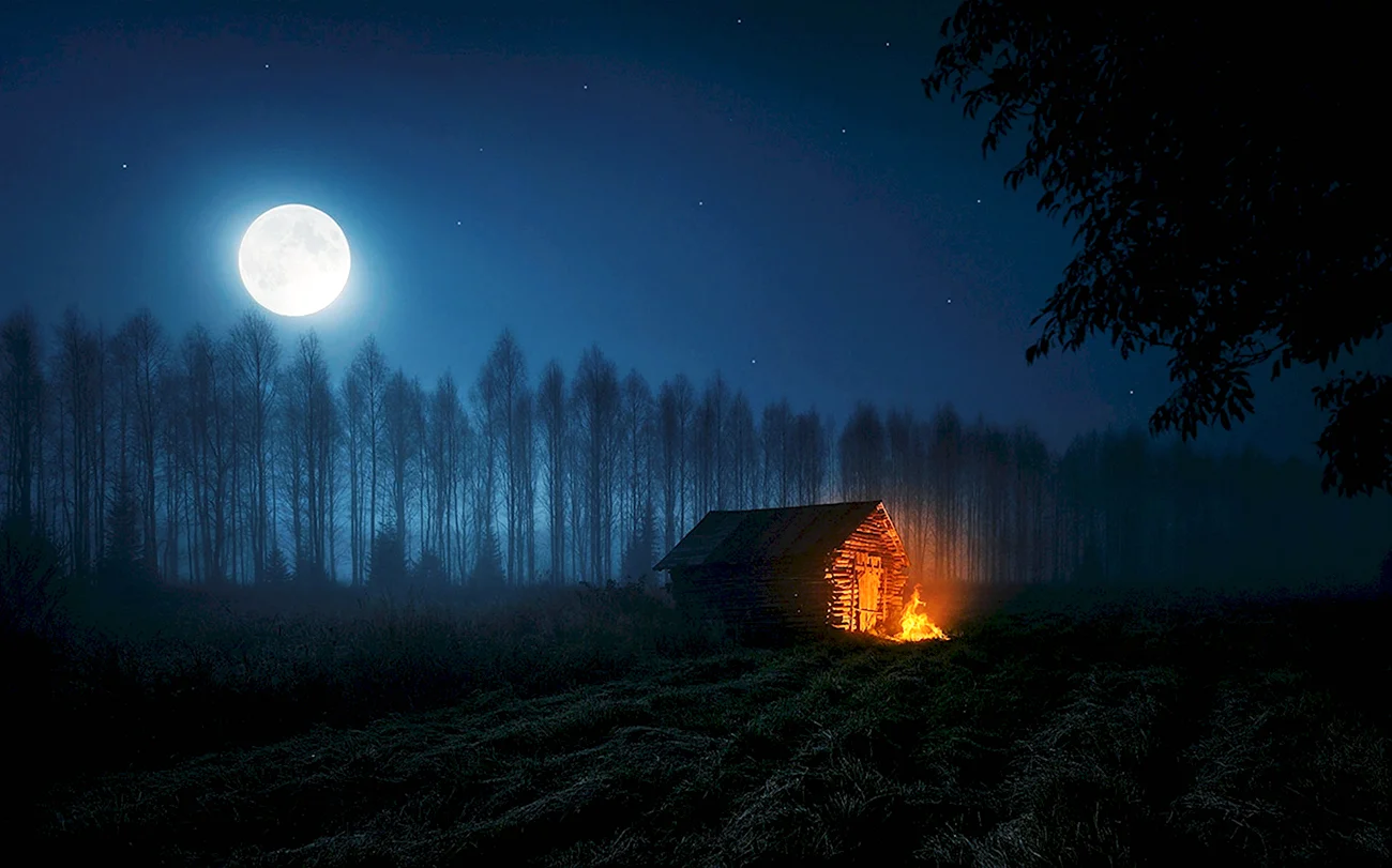Домик в лесу ночью. Красивая картинка