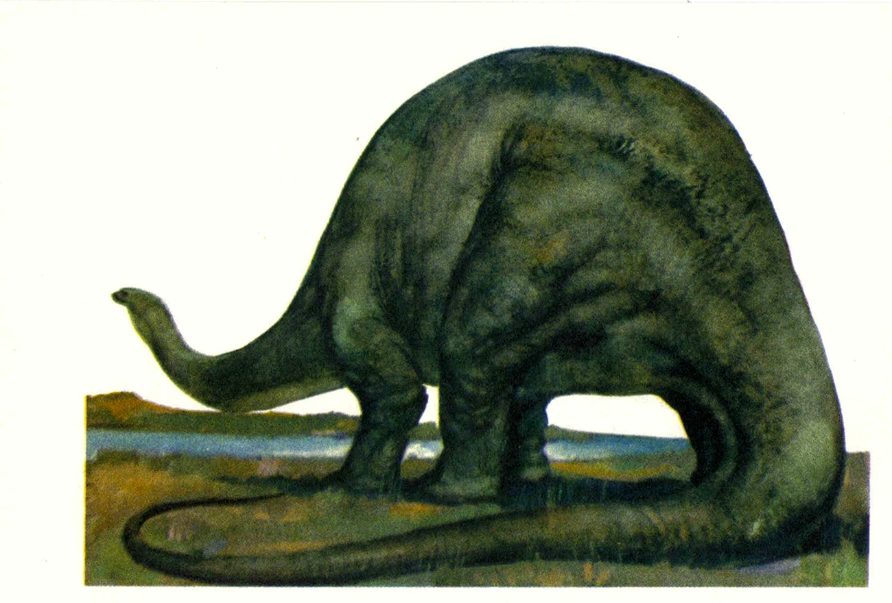 Древнейшее ископаемое Бронтозавр. Картинка