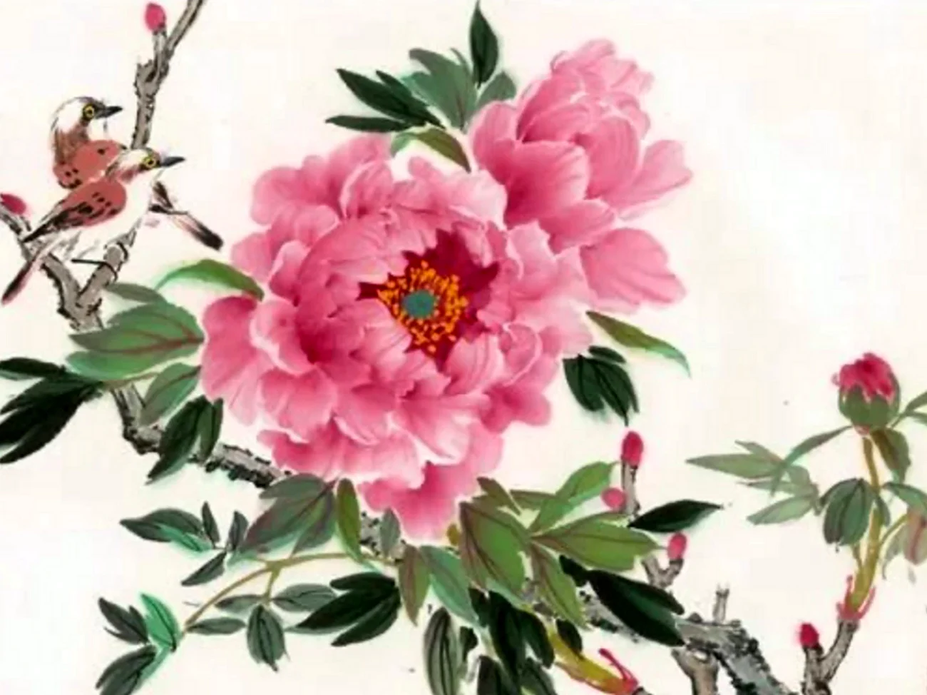 Древовидный пион китайская живопись. Красивая картинка