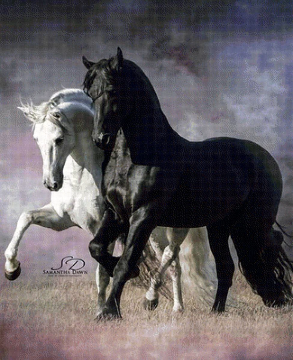 Две лошади. Красивое животное