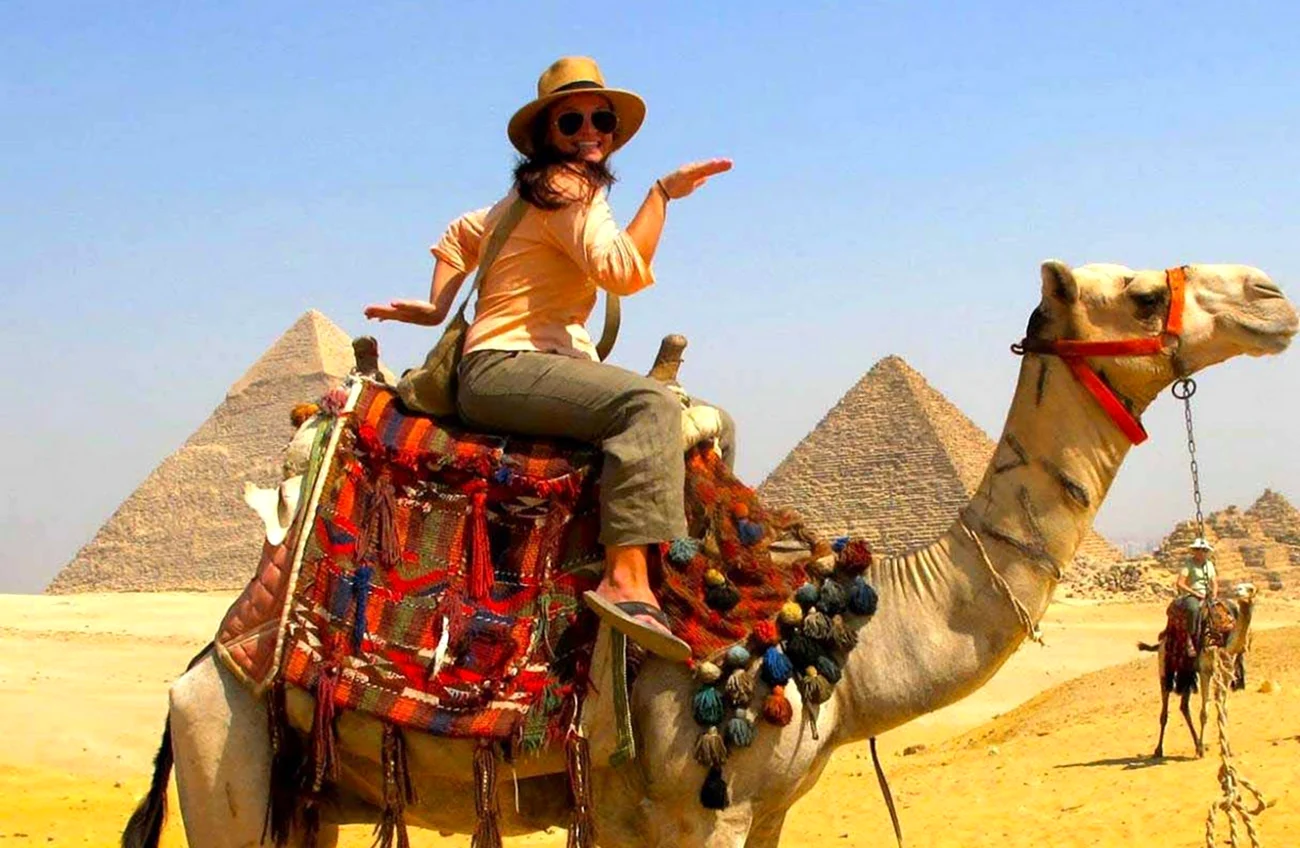 Египет Шарм Эль Шейх верблюд. Картинка