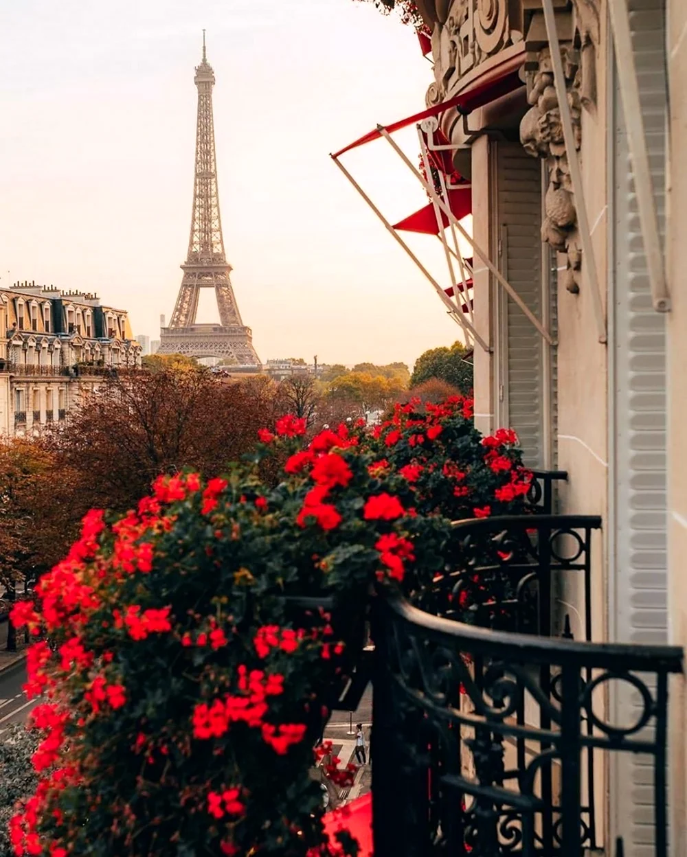 Эйфелева башня Франция Эстетика. Картинка