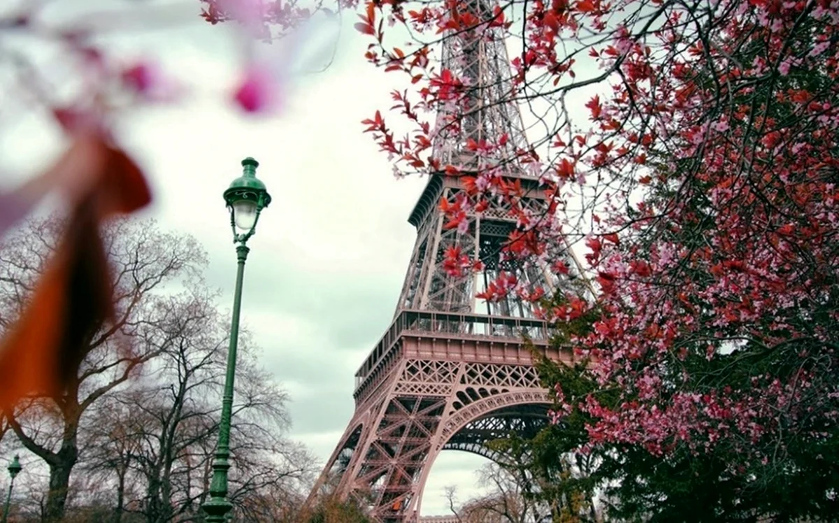Эйфелева башня Париж Весна. Картинка