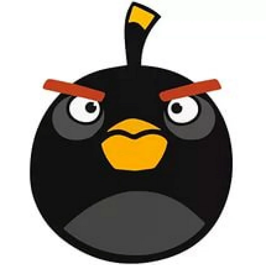 Энгри бердз черная птица. Картинка из мультфильма