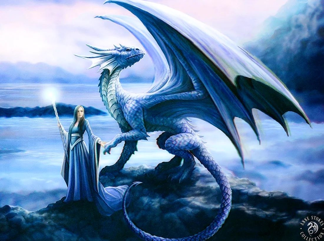 Энн Стоукс драконы. Красивые картинки животных