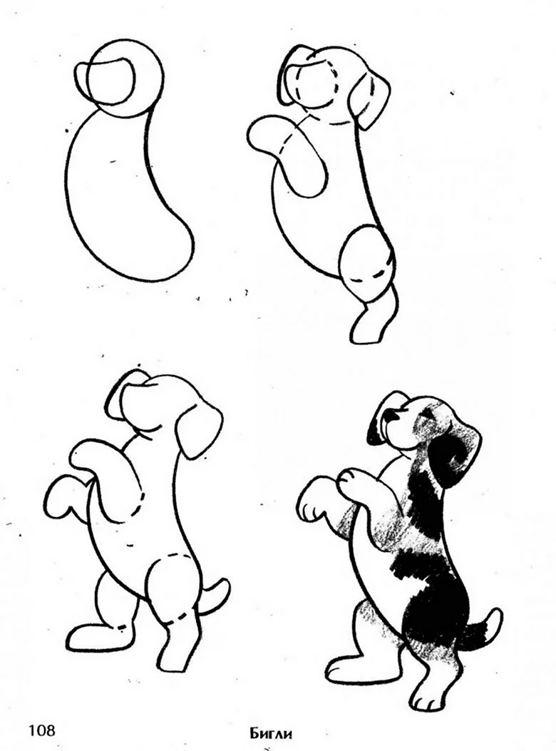 Этапы рисования собаки для детей. Для срисовки