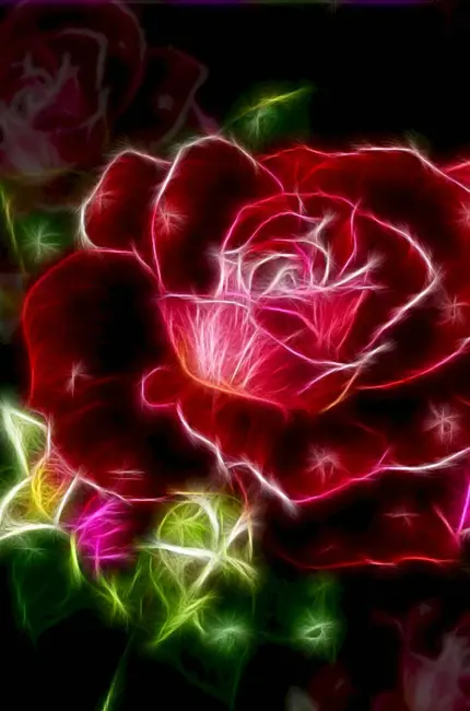 Фантастические розы. Красивая картинка