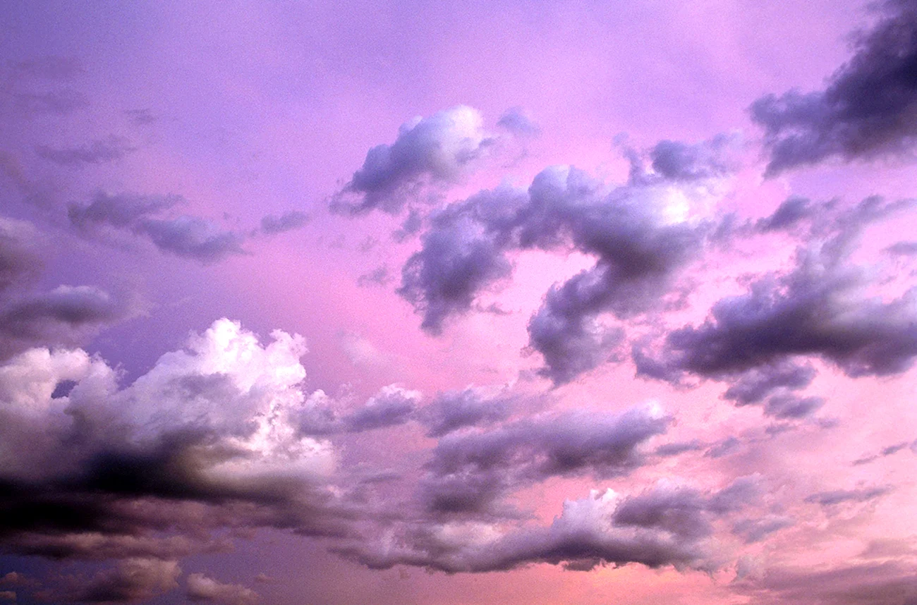 Фиолетовое небо. Картинка
