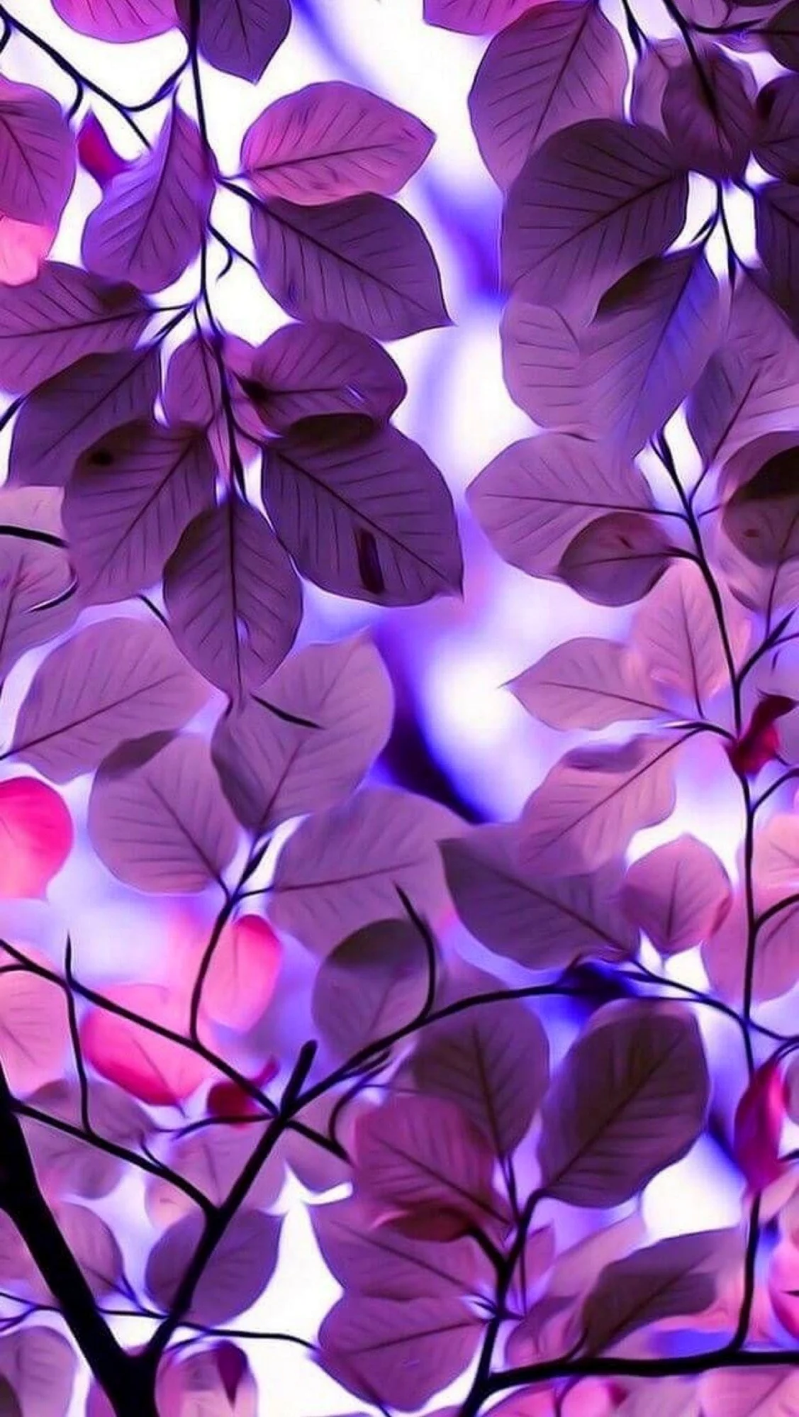 Фиолетовые листья. Красивая картинка