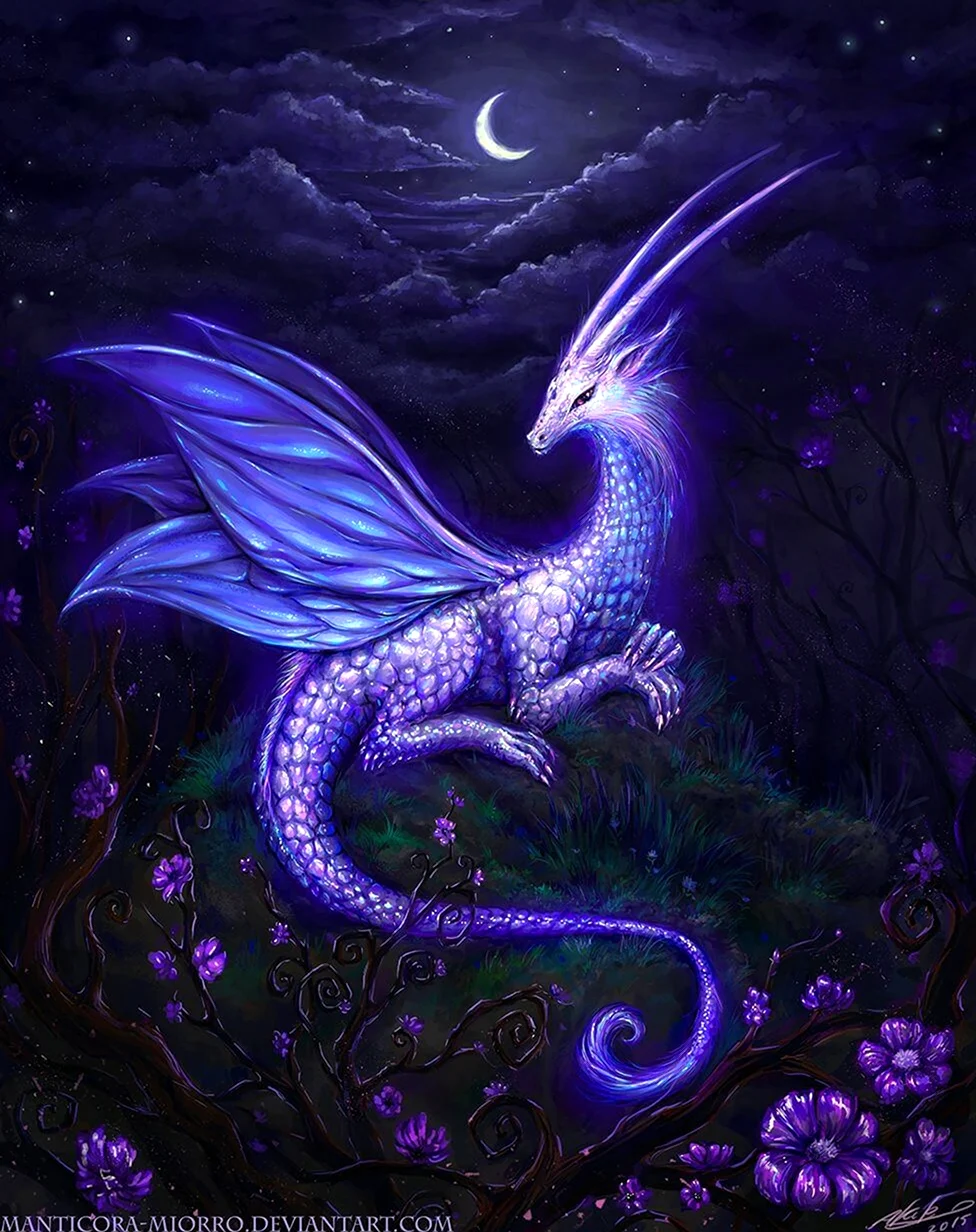 Фиолетовый дракон Луна. Красивые картинки животных