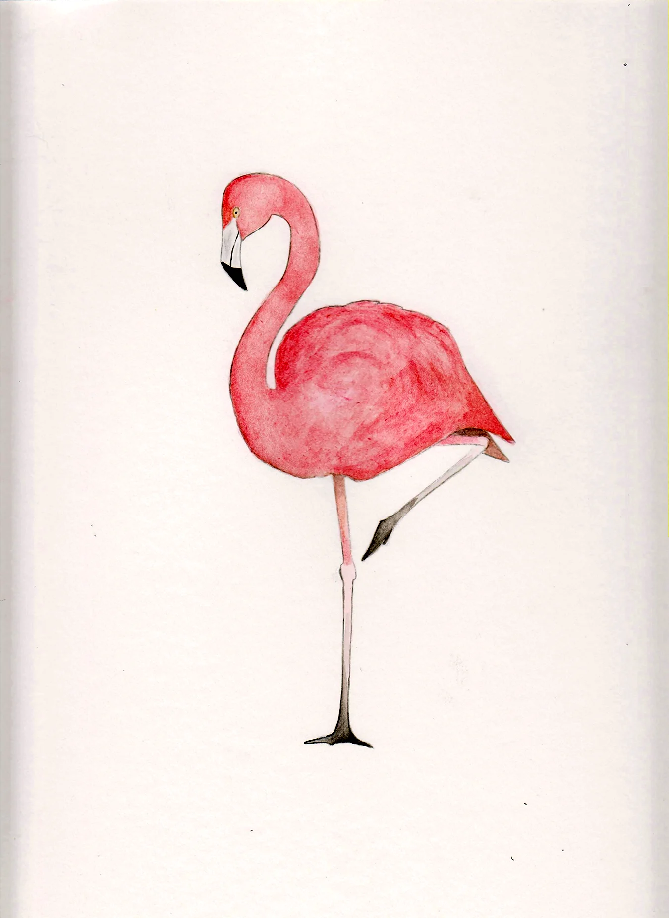 Фламинго рисунок для срисовки легкие. Для срисовки