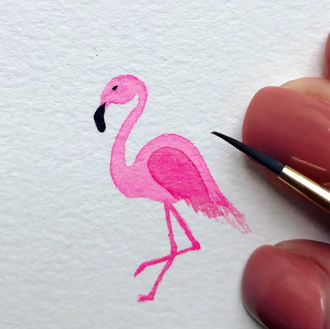 Фламинго рисунок фломастерами. Для срисовки