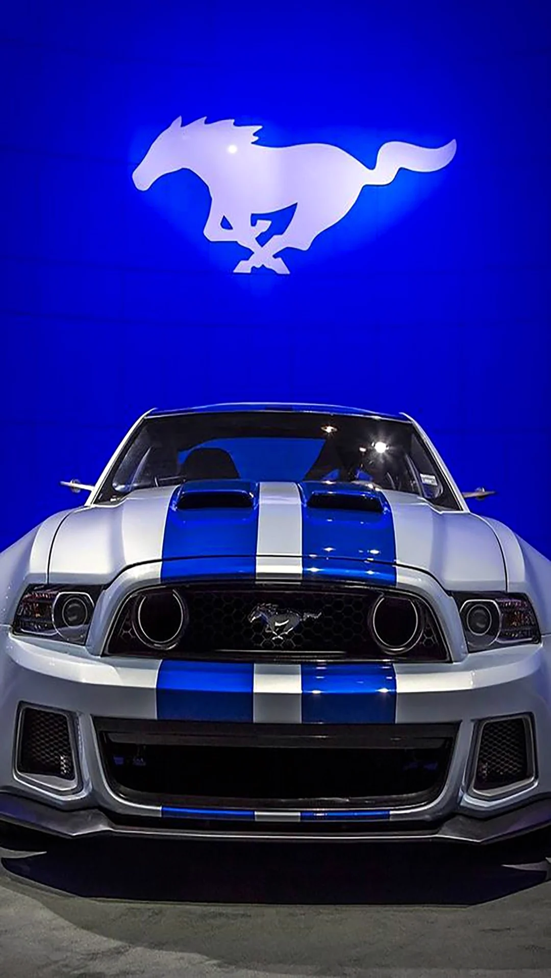 Ford Shelby gt500. Картинка