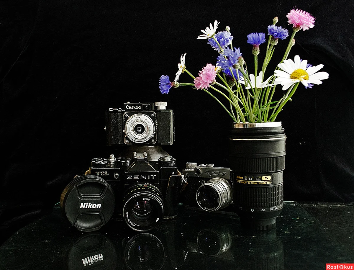 Фотоаппарат и цветы. Красивая картинка