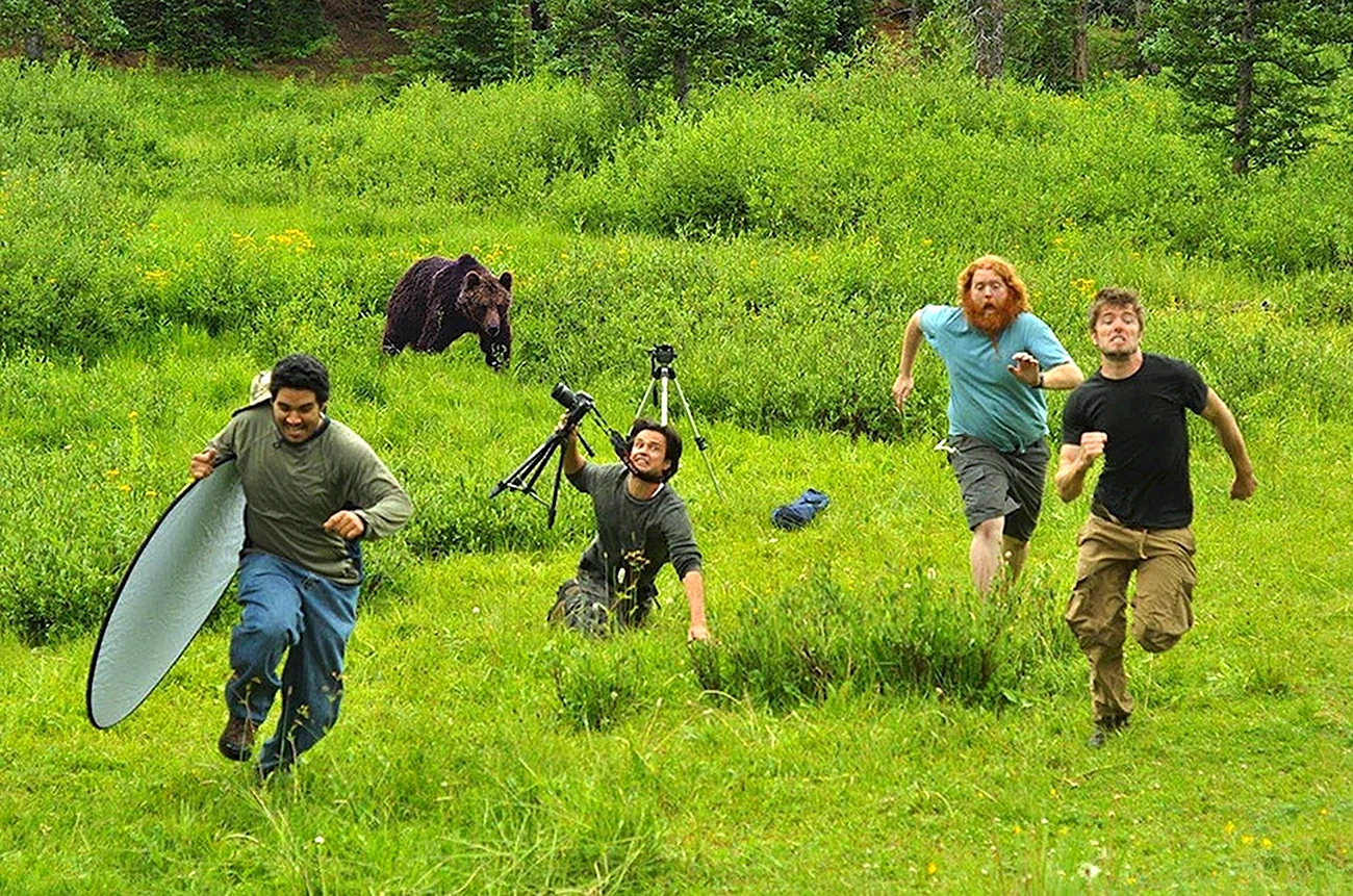 Фотографы бегут от медведя. Картинка
