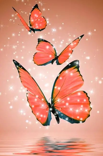 Фотообои бабочки. Красивая картинка