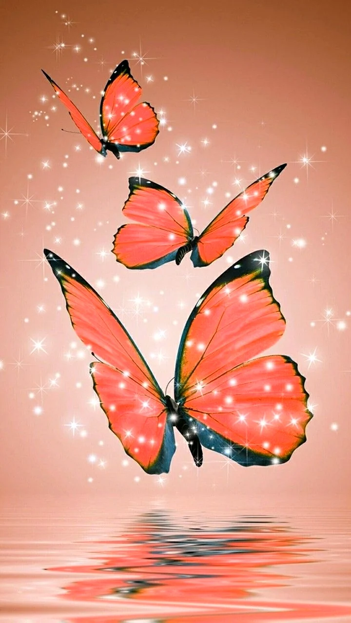 Фотообои бабочки. Красивая картинка