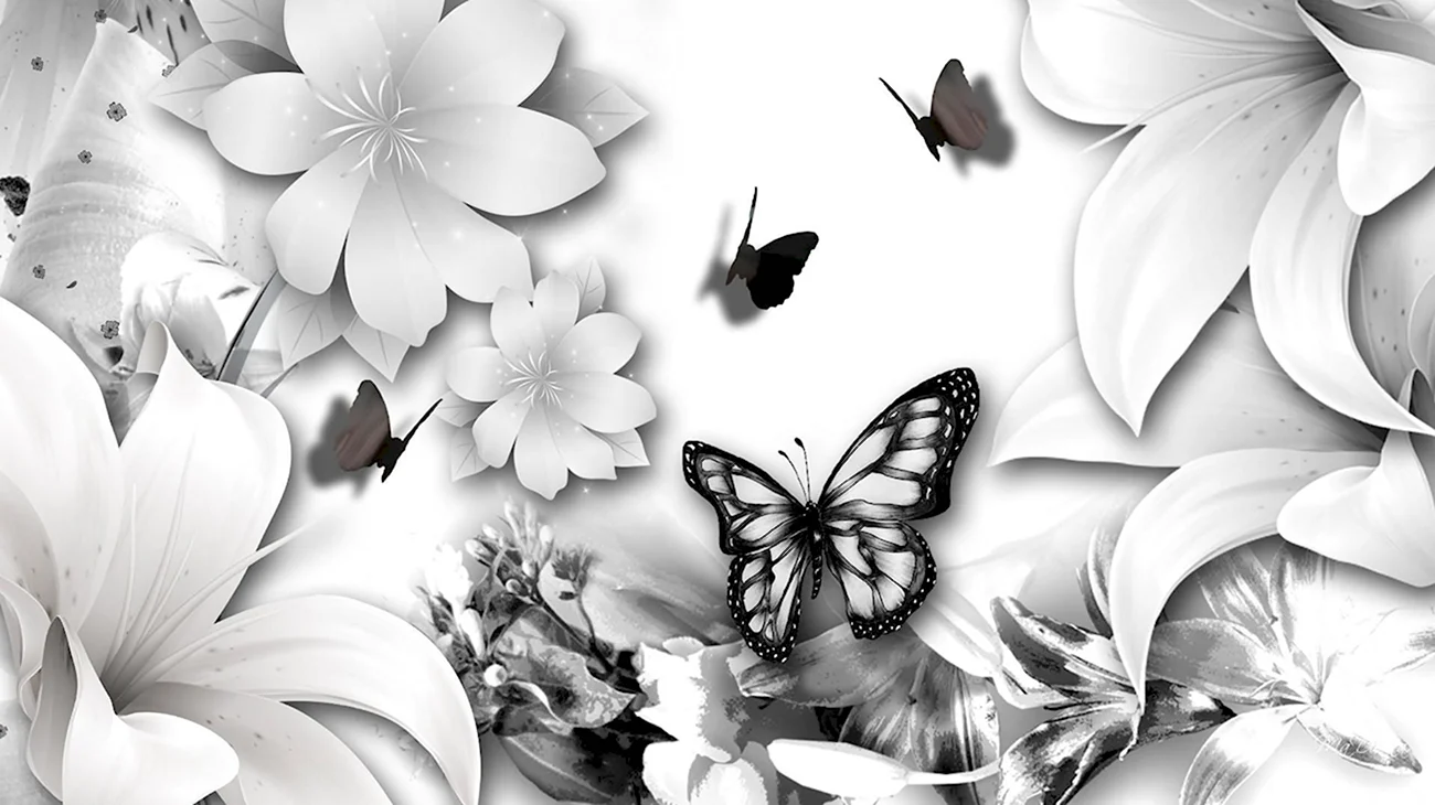Фотообои бабочки. Картинка