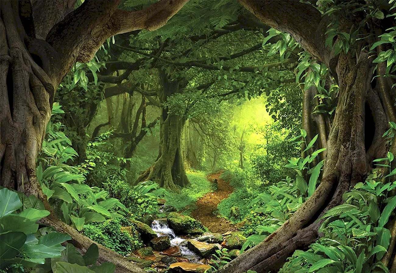 Фотообои сказочный лес. Картинка