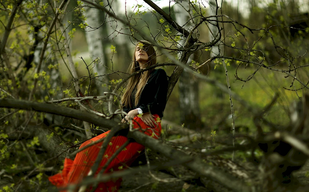Фотосессия с ветками в лесу. Красивая девушка