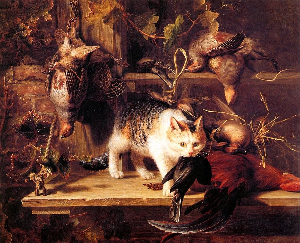 Франс Снейдерс коты. Красивое животное