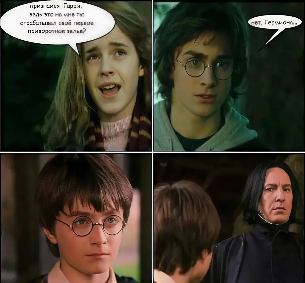 Гарри Поттер и Гермиона приколы. Картинка