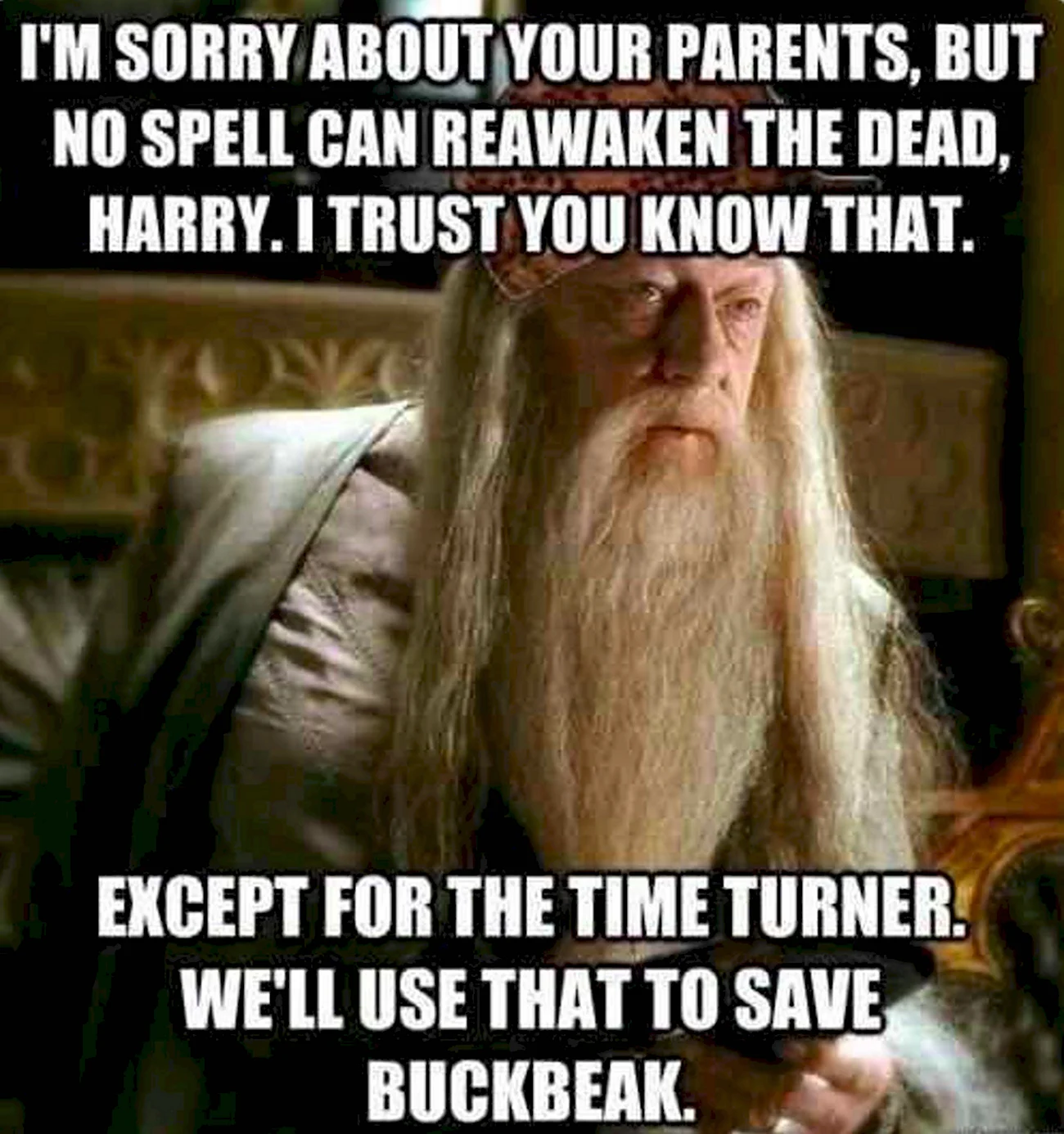 Гарри Поттер приколы про Дамблдора. Картинка