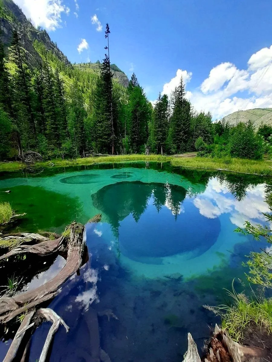 Гейзеровое озеро горный Алтай. Красивая картинка