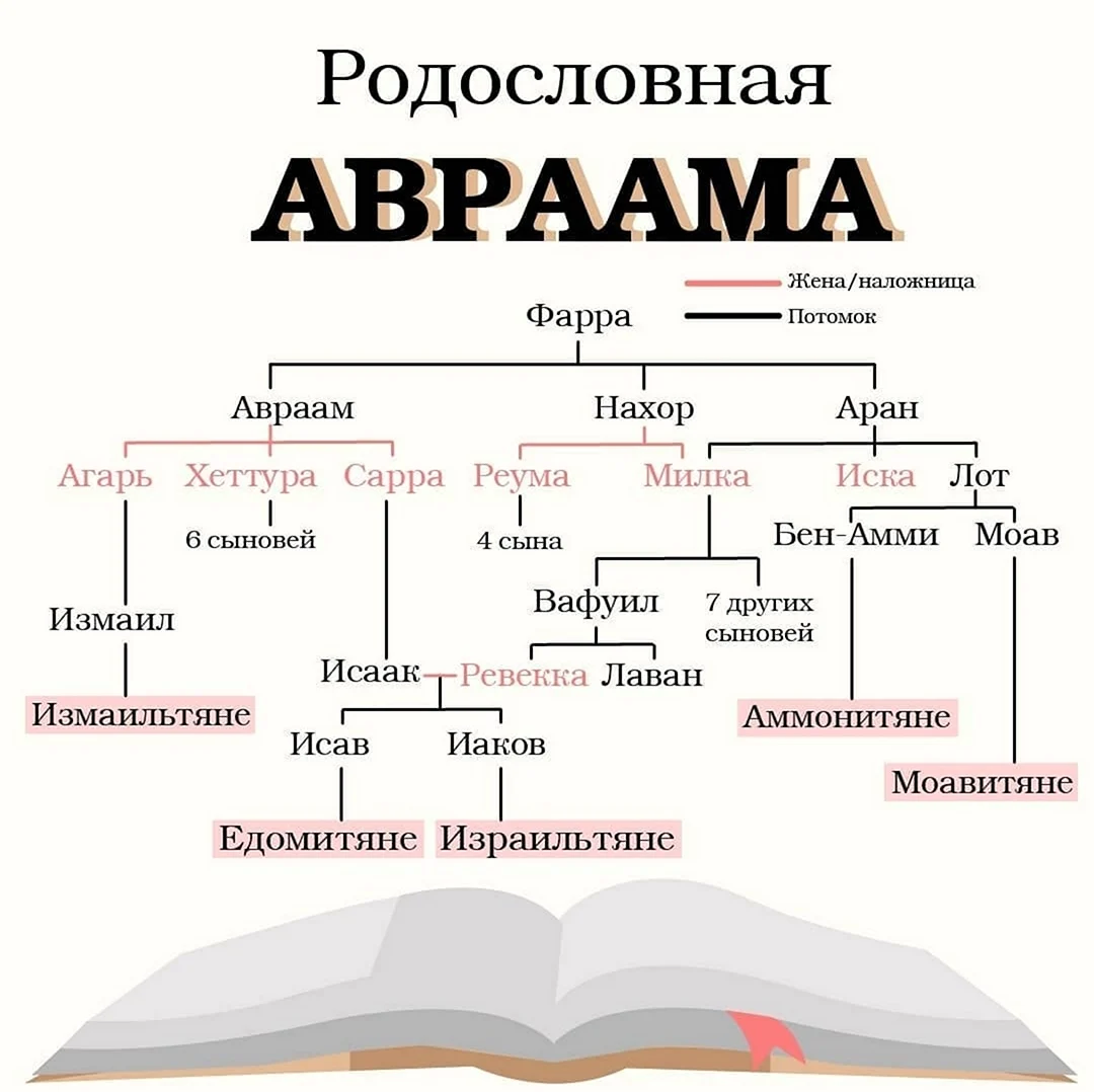 Генеалогия Авраама. Картинка