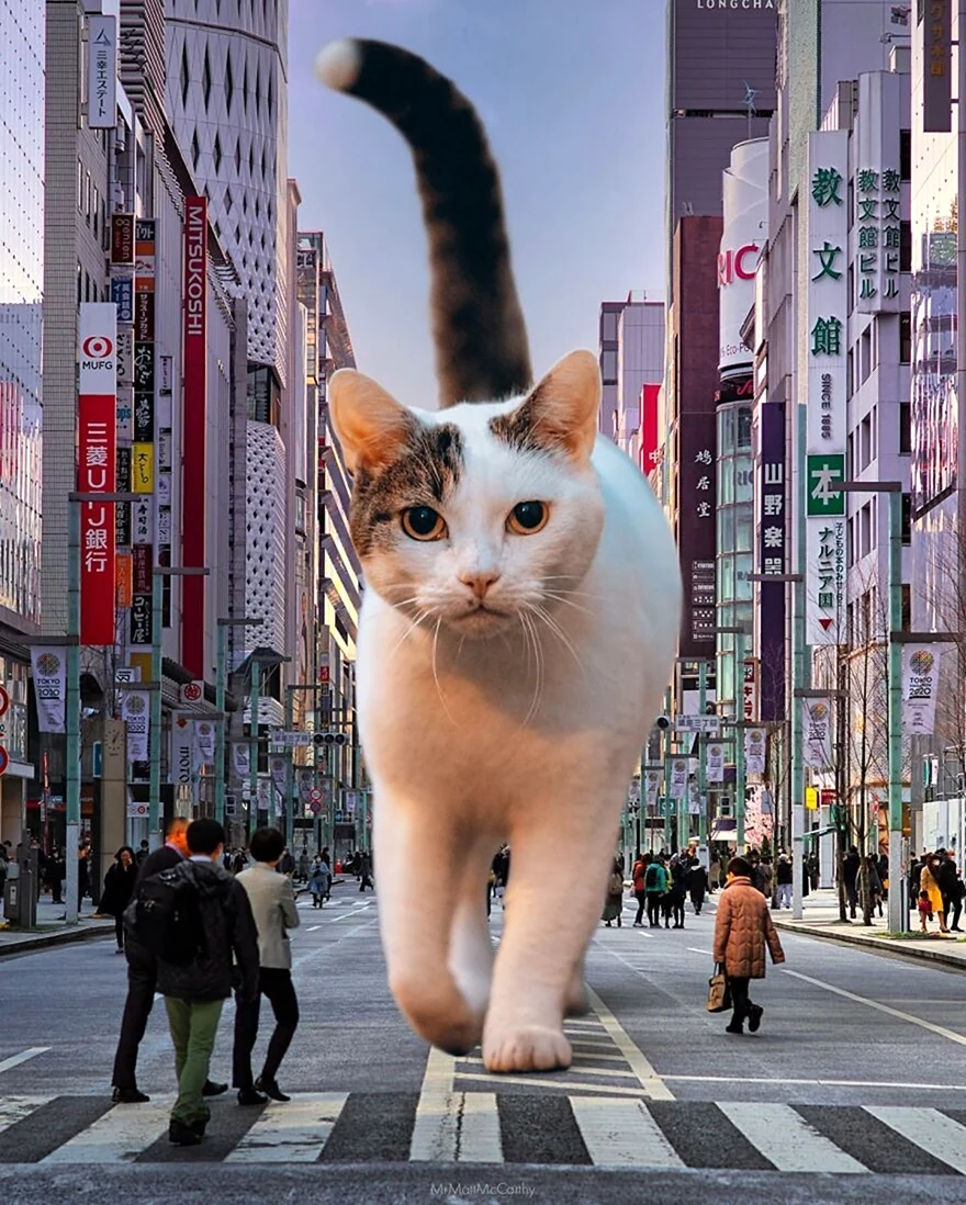 Гигантский кот в центре города. Прикольная картинка