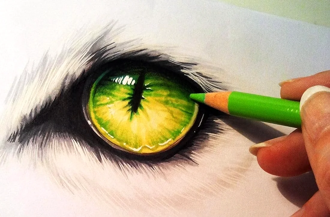 Глаз цветными карандашами. Для срисовки