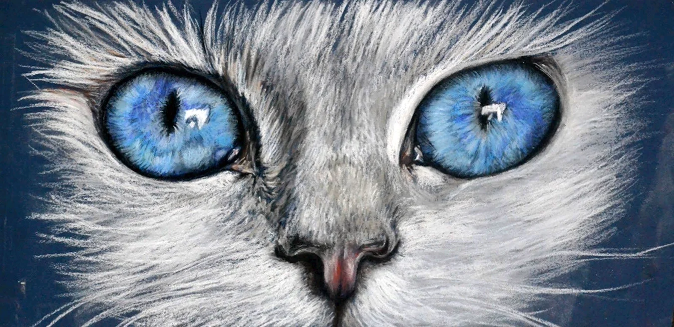 Глаза кота пастелью. Для срисовки