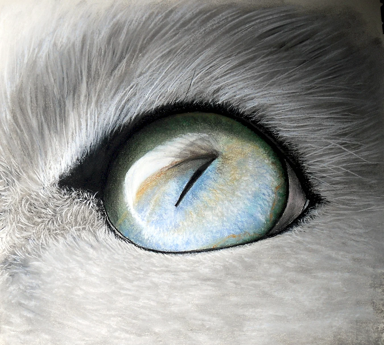 Глаза животных. Для срисовки