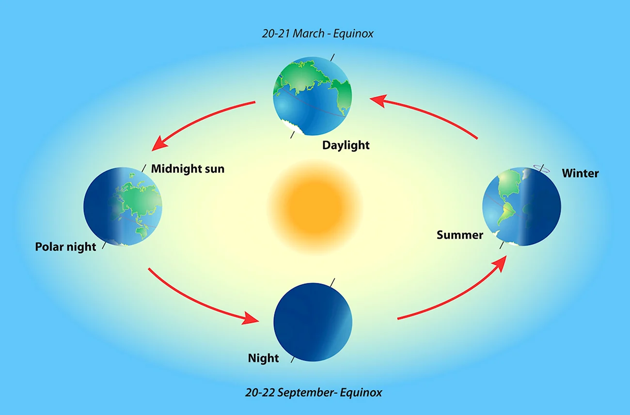 Годовой цикл земли вокруг солнца. Картинка