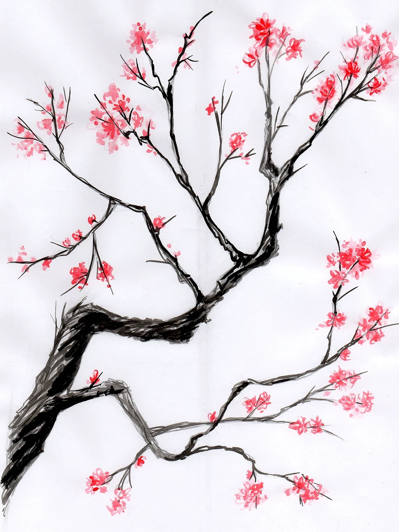 Гохуа китайская живопись Сакура. Для срисовки