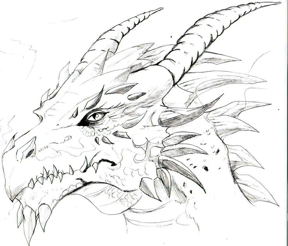 Голова дракона карандашом. Для срисовки