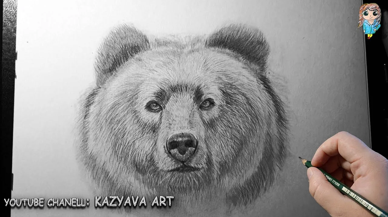 Голова медведя карандашом. Для срисовки