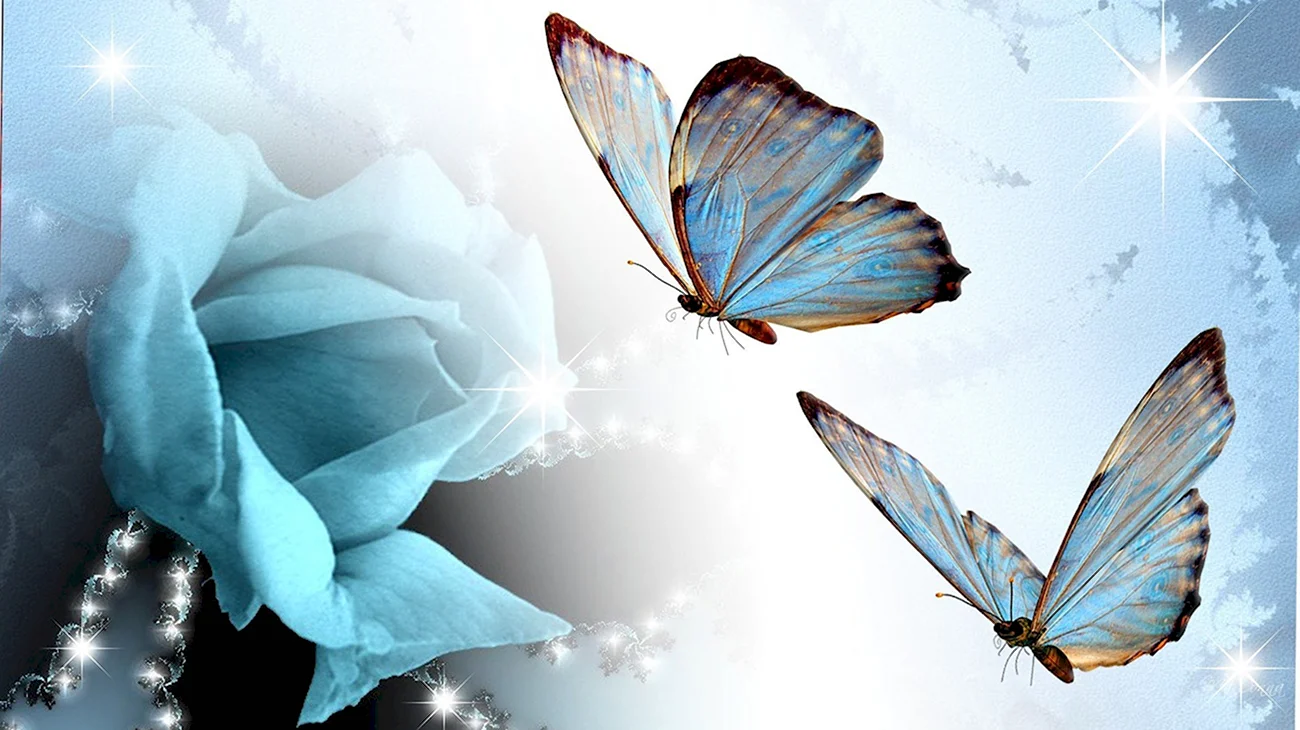 Голубая Артынская бабочка. Красивая картинка